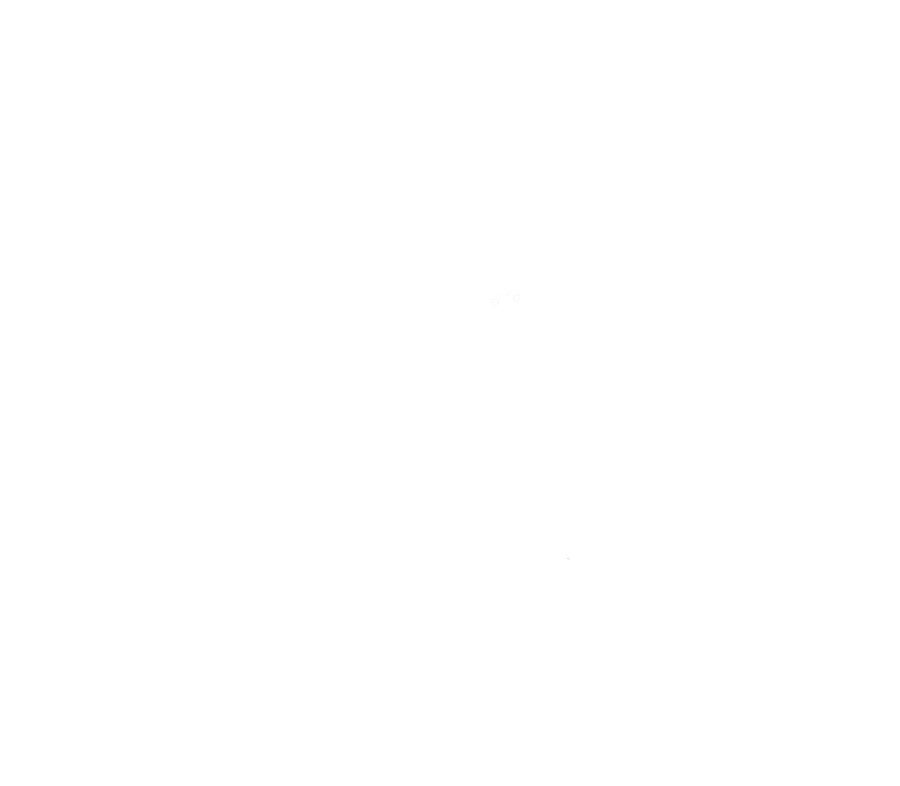 Go Pyrate!